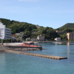 水俣花火大会in湯の児 海と日本project In 熊本