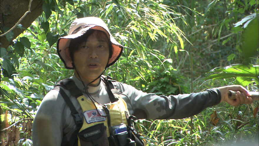 水俣ネイチャーガイド・杉本崇さんにとって、海とは？