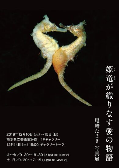 尾崎たまき写真展「姫竜(ヒメタツ)が織りなす愛の物語」が熊本で開催！(入場無料)