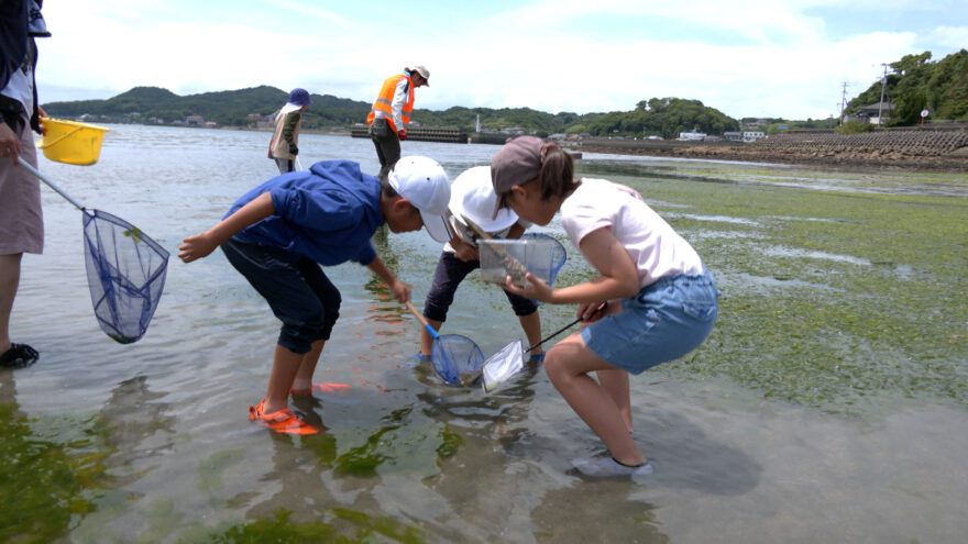 8/1(火）18:50～ 海辺の生き物を観察しよう KABでOA！