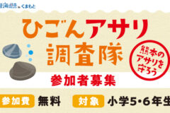 【参加者募集】日本財団 海と日本プロジェクト ひごんアサリ調査隊～熊本のアサリを守ろう～