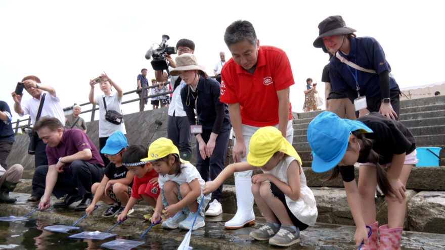 8/31(日）10:30～「海の資源を育む！稚ダコ放流」KABでOA！