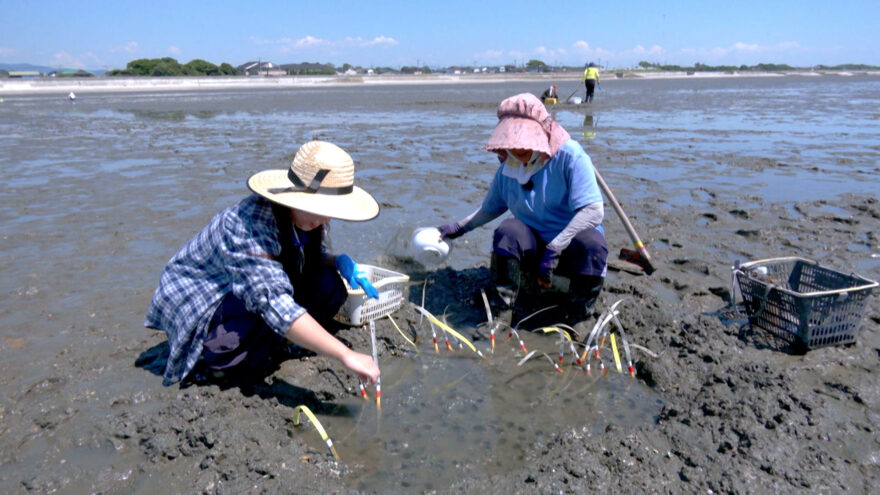 8/17(日）10:30～「伝統漁法・マジャク釣り」KABでOA！