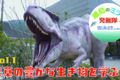 あなたも「離島のミライ発掘隊」WEB限定動画公開スタート！vol.1 天草の豊かな生き物を学ぶ！